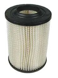 Air Filter - Club Car Gas 1984 To 1991. 1