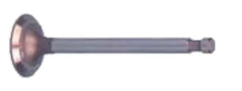 Intake Valve Fe290 Engine - Club Car Ds & Precedent 1992 & Up 1