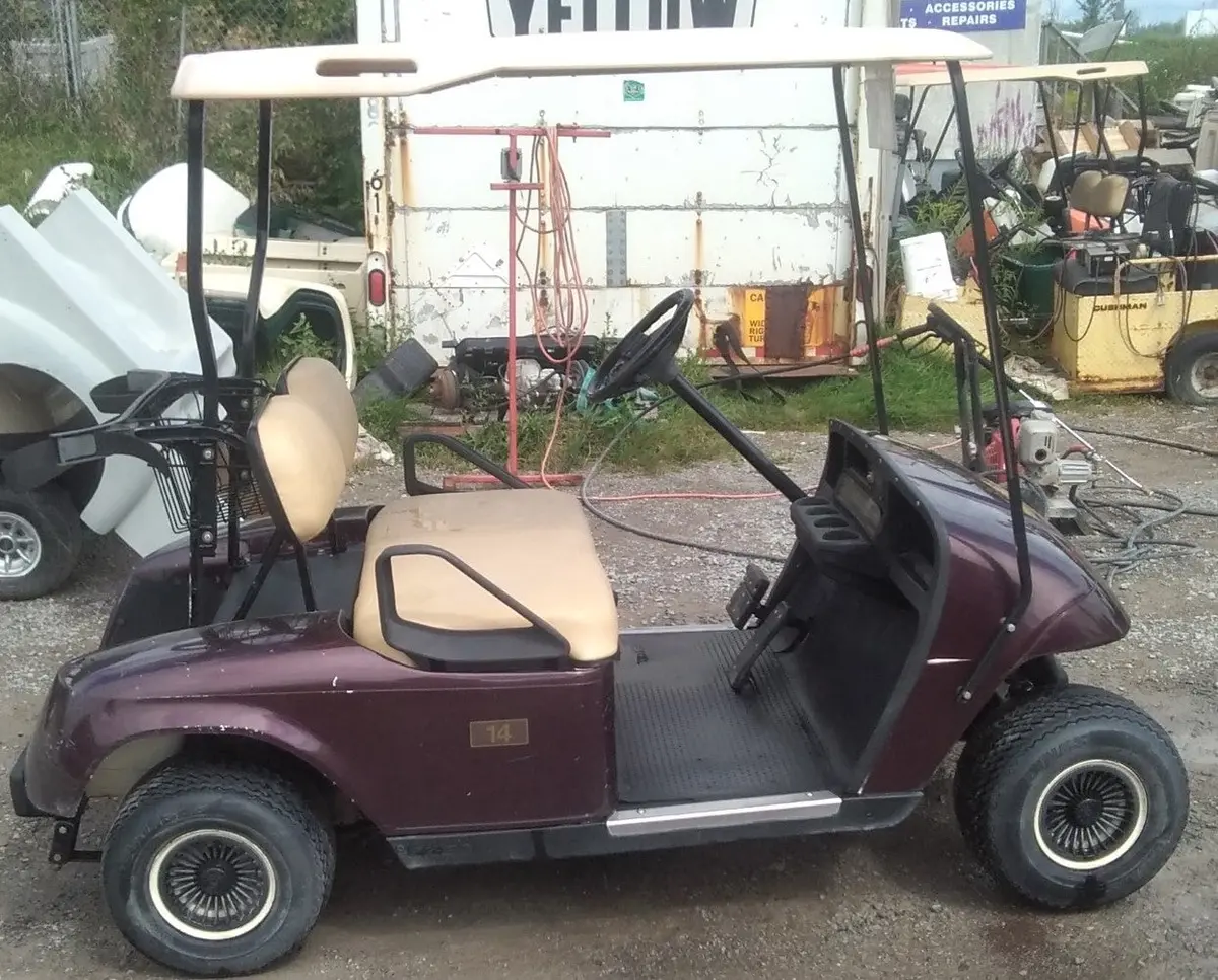 2007 Ezgo Txt Gas 1