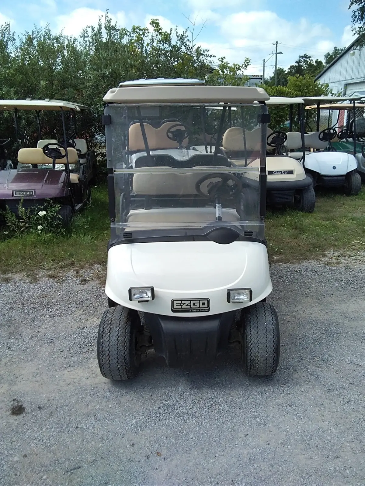 2010 Ezgo Rxv 48 Volt 1
