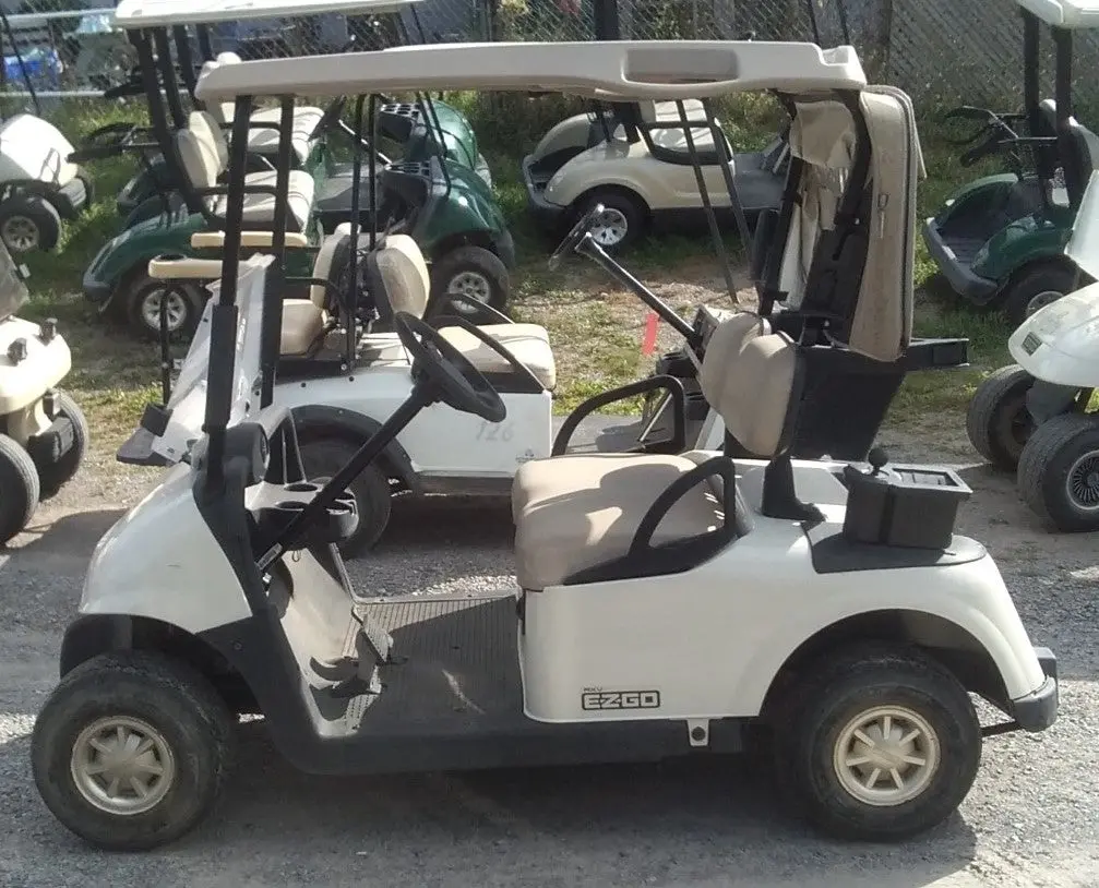 2010 Ezgo Rxv 48 Volt 1
