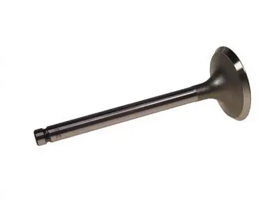 Intake Valve For The Kawasaki Engine - Ezgo Rxv Gas 2008 & Up 1