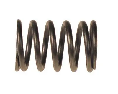 Valve Spring For Kawasaki Engine - Ezgo Rxv Gas 2008 & Up 1