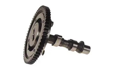 Camshaft For Kawasakie Engine - Ezgo Rxv Gas 2008 & Up 1