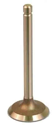 Exhaust Valve 295Cc And 350Cc Engines - Ezgo Gas 1991 To 2002 4 Cycle 1