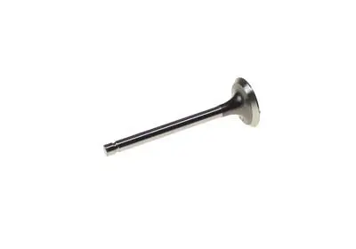 Exhaust Valve For Mci Engine - Ezgo Gas 2003 & Up 1