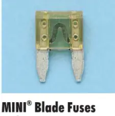 Mini 30 Amp Fuse 1