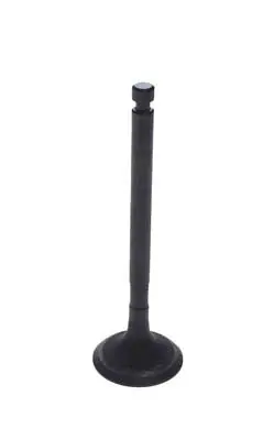 Exhaust Valve - Yamaha Gas G21, G22, G29 1