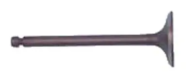 Intake Valve - Yamaha Gas G2, G8, G9, G14 1