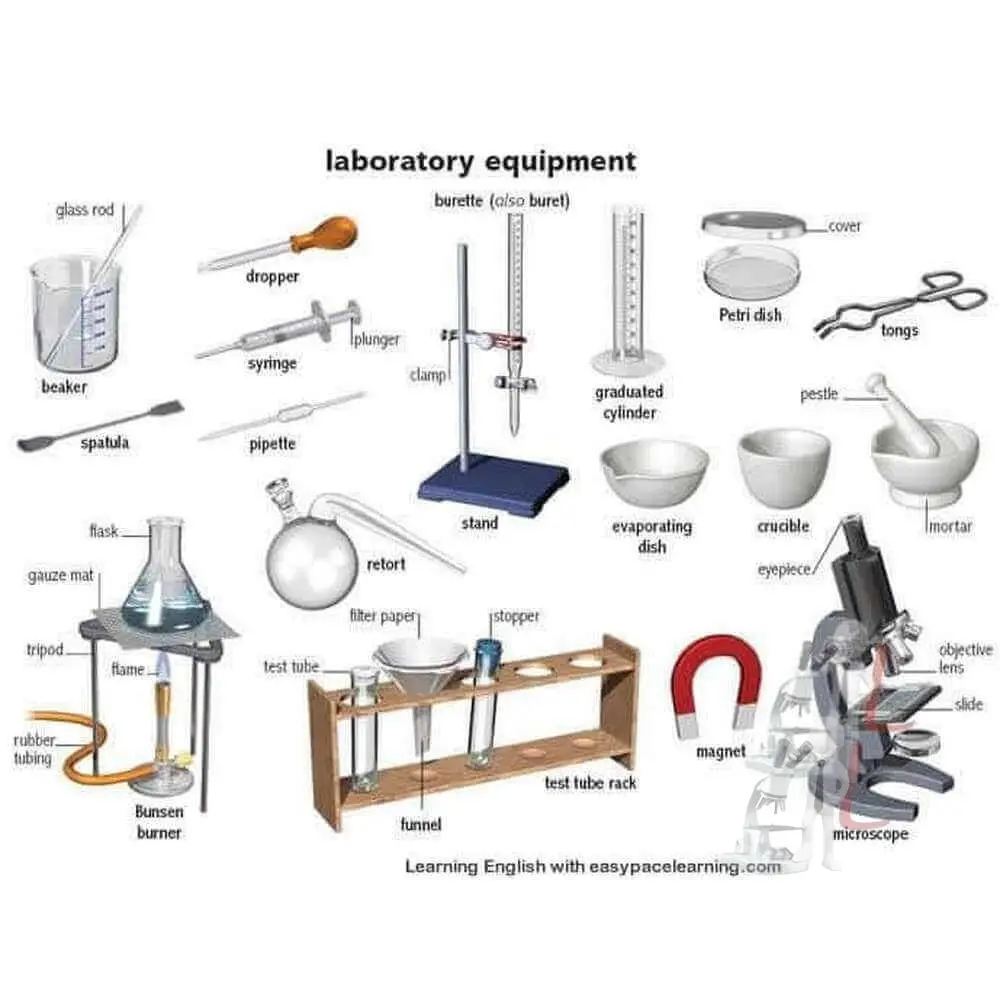 Science Laboratory Equipment : 20 Common Equipments For School Lab 1