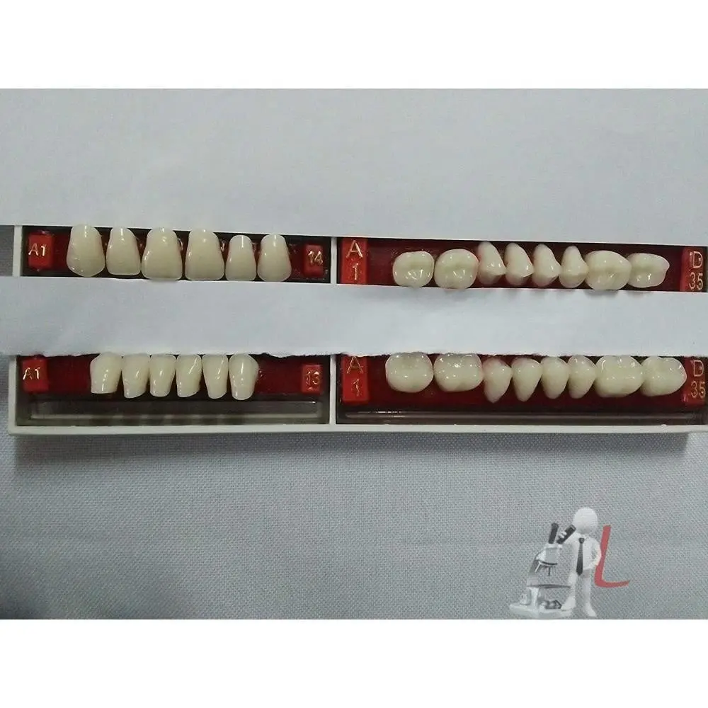 Denture Teeth, Acrylic Set A1 14 1