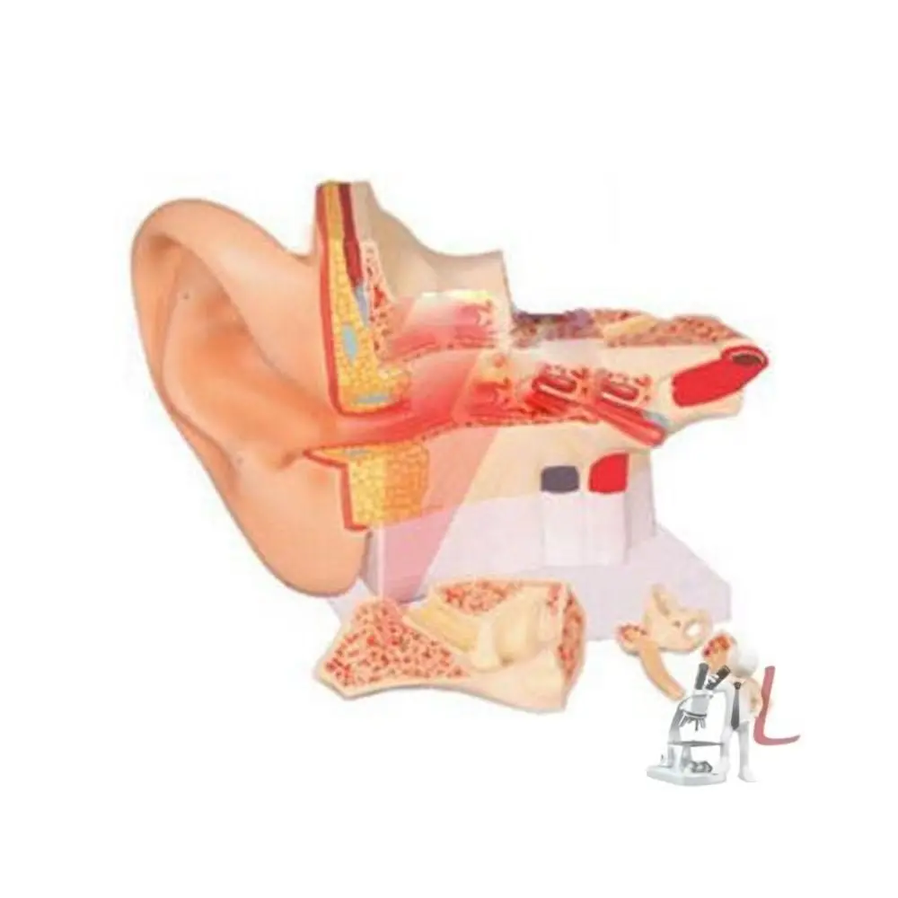 Giant Ear Model 1