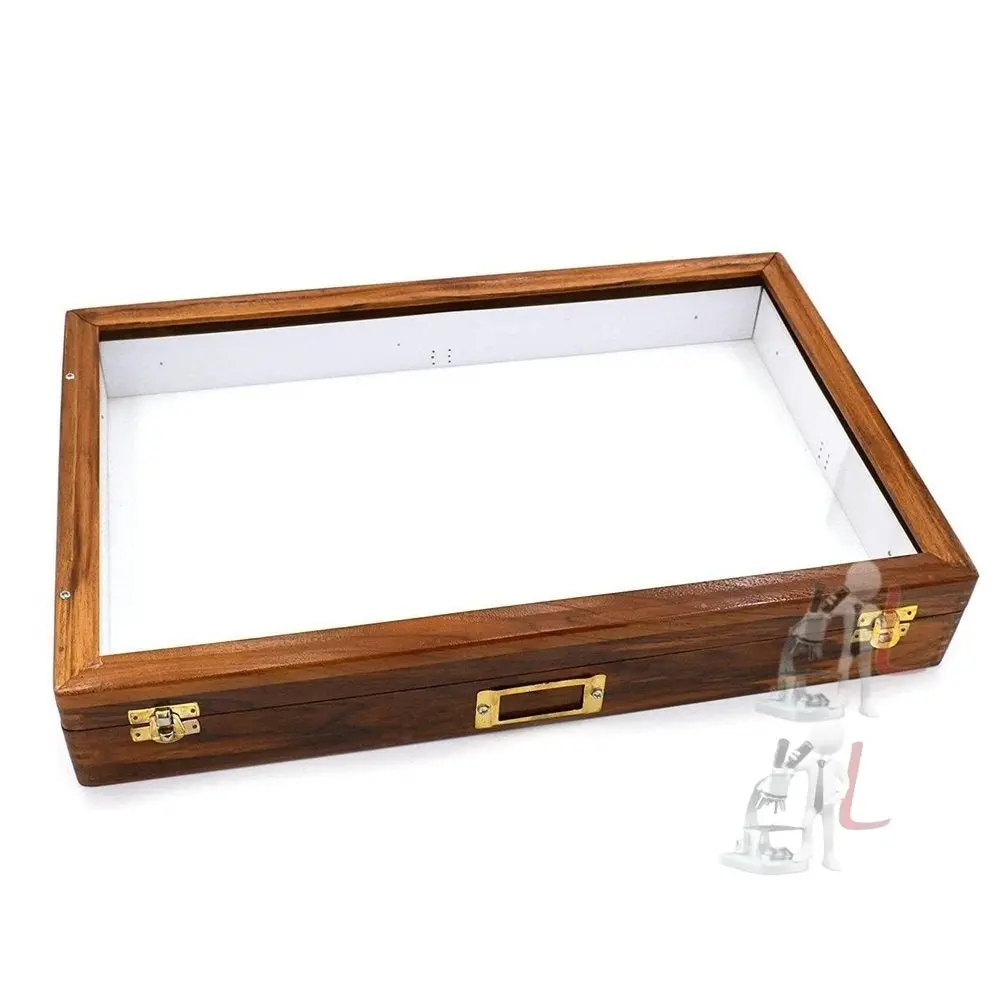 Insect Storage Box 1