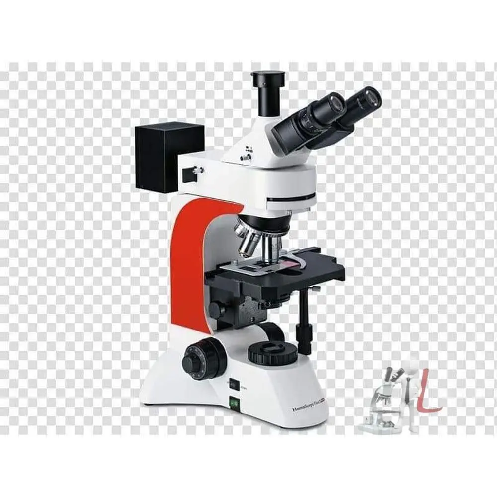 Fluorescence Microscope 1